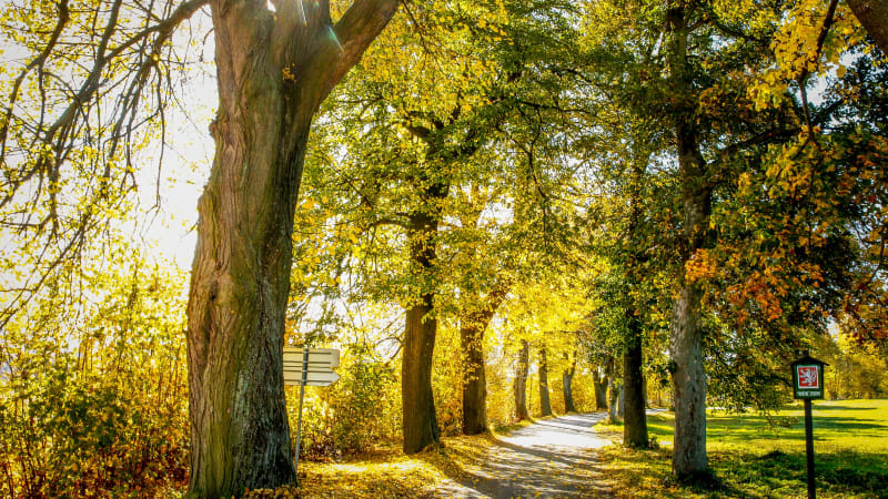 RADAR: V Česku se zbláznilo počasí. Rekordní teploty mají padat i v úterý, kdy se ochladí?