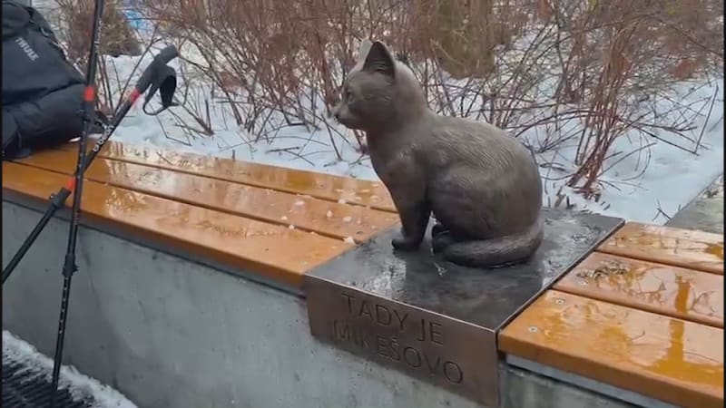 Potulnému kocourovi z Modřan postavili sochu. Místní ho měli rádi, a tak se složili