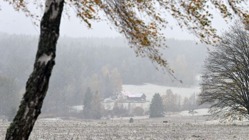 Česko vymete silný vítr, platí VÝSTRAHA. Teploty opět klesnou, podívejte se, kdy udeří mrazy