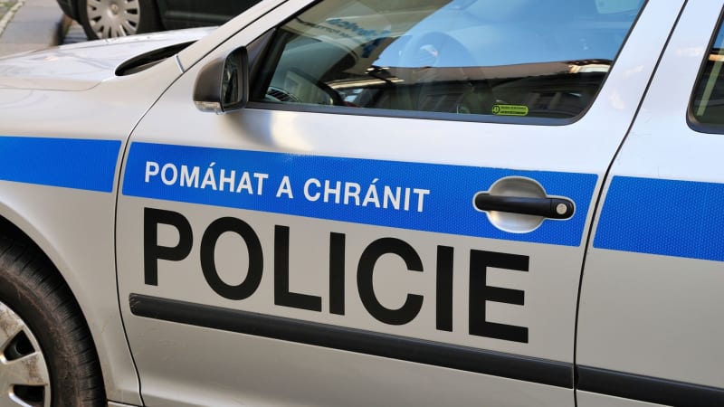 Vraždícího schizofrenika z Bohnic potrestal soud. Poslal ho na sedm měsíců za mříže