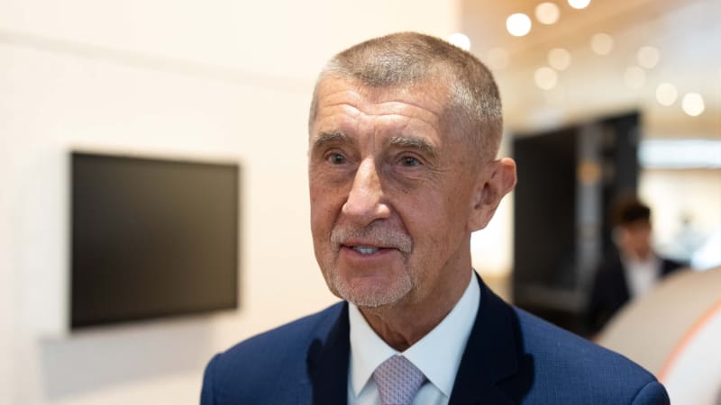 Sjezd sudetských Němců v Brně není šťastný, řekl Babiš. Doufá, že nenaruší vztahy se SRN