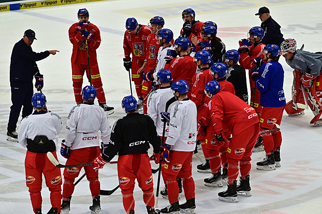 Hokejisté poprvé trénovali. Duo z Pardubic zná parťáka, Vladař nedorazí kvůli zranění