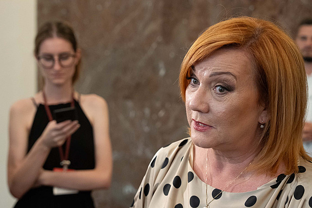 Senátoři navrhli u EET zrušit limit daňového osvobození u zdravotních benefitů