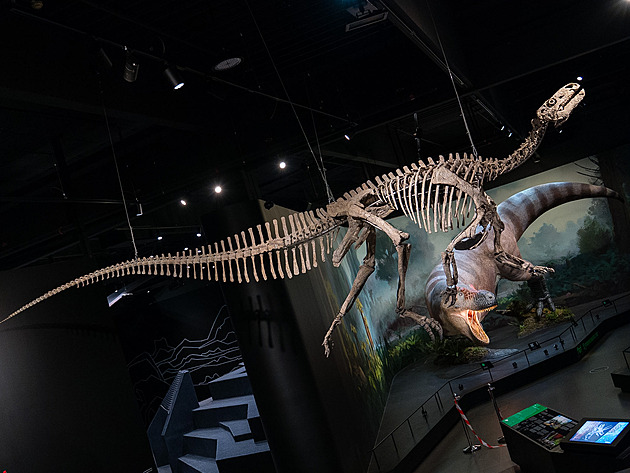 Muzeum Dinosauria v Praze oslaví pět let. Poprvé ukáže novou kostru Tenontosaura