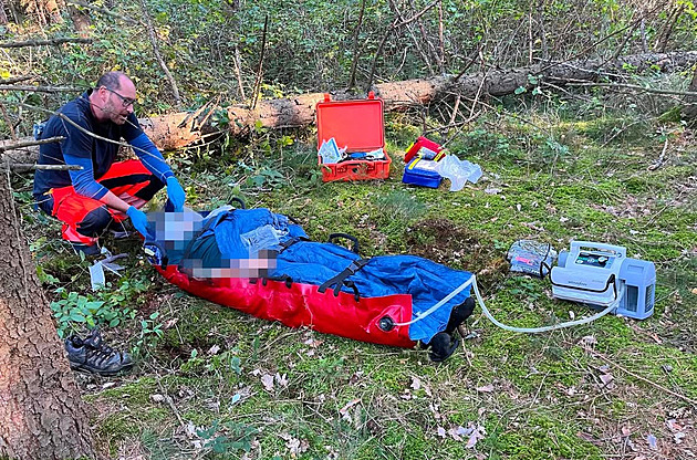 Muže při kácení na Táborsku trefil strom a vážně ho zranil, povolali i vrtulník