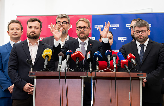 Žádný exodus, Grolich lanaří i u jiných stran, říká Havel o odchodu členů TOP 09