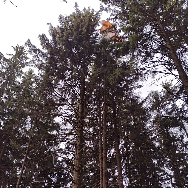 Nevydařený seskok. Paraglidista seděl na větvi ve výšce 20 metrů, ale dolů nemohl