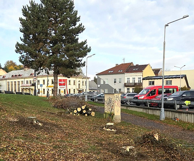 Městské stromy padly bez povolení. Udělal to market, prodejna nebyla vidět, míní lidé